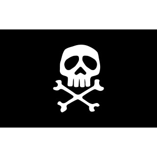 1 - Drapeau Jolly Roger Pirates 30x45 en polyester pour camping-car nautique